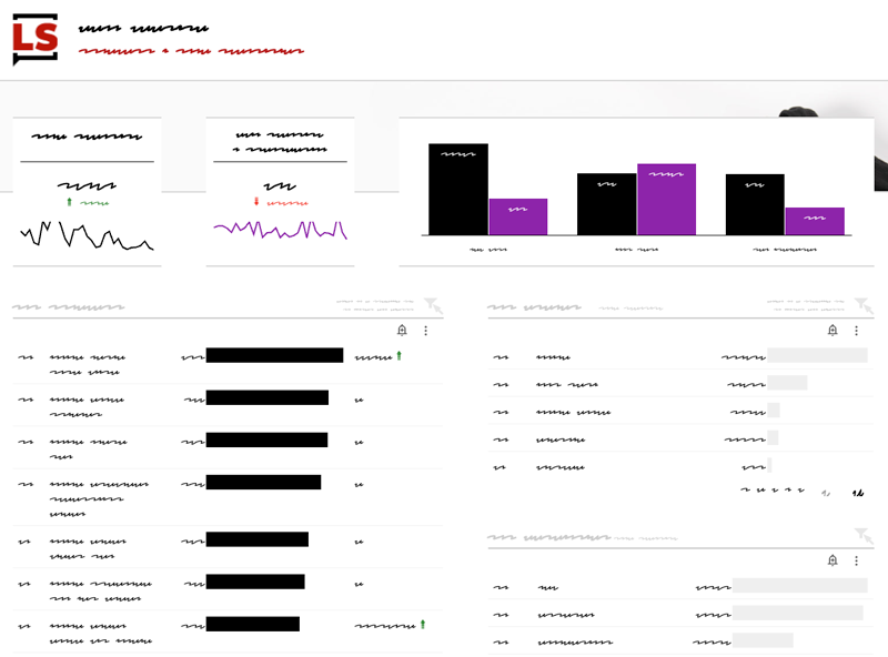 Looker Studio Companion: Obfuscate all the content
